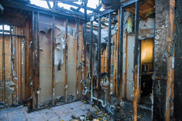 Professional Fire Damage Removal technician working in Catonsville, MD