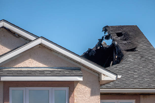 Top rated local Fire Damage Removal specialists in Catonsville, MD